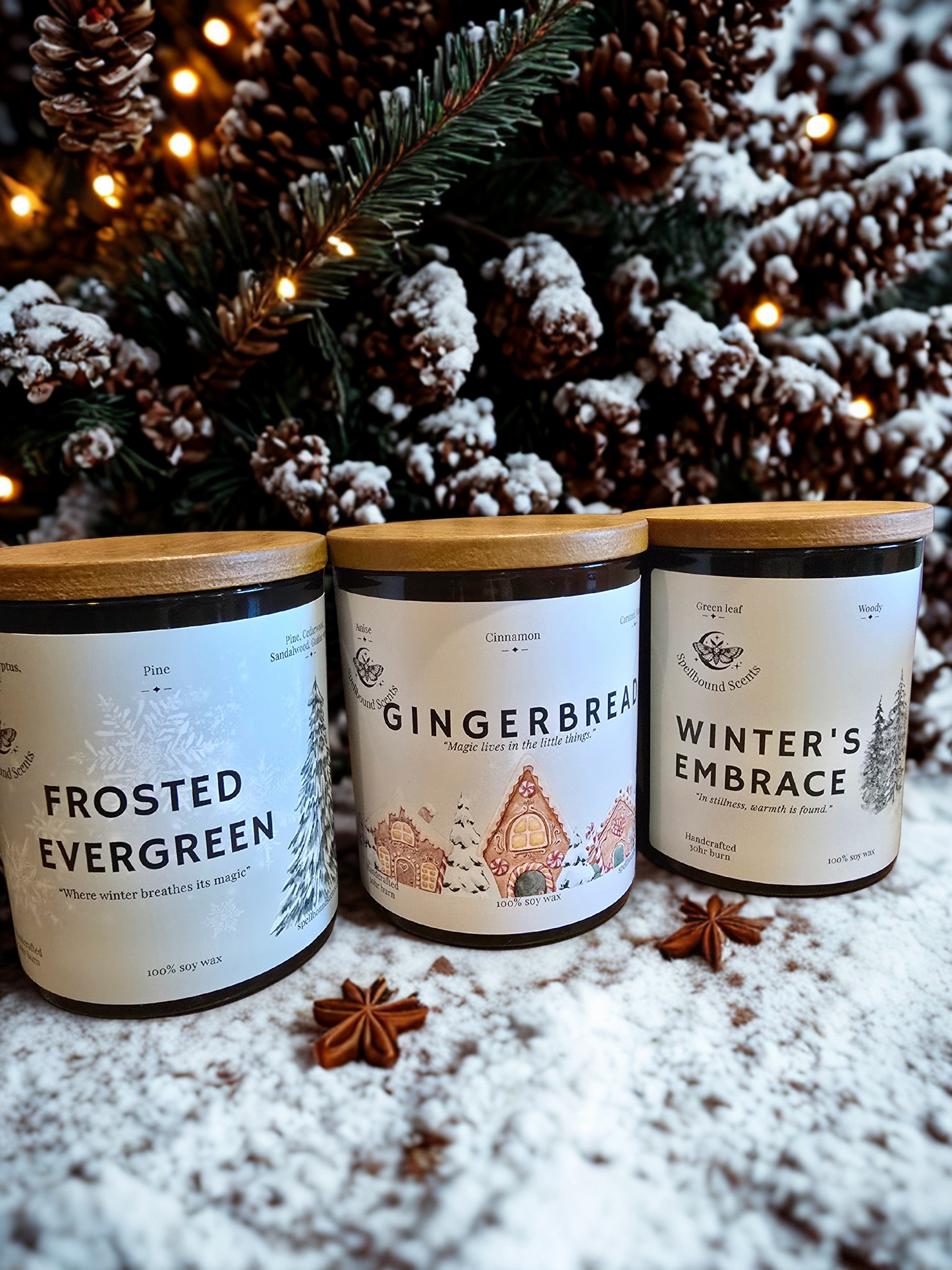 Frosted Evergreen Candle – Eco-Luxury Soy Wax Candle with Pine, Eucalyptus & Cedarwood - Christmas Tree Scent