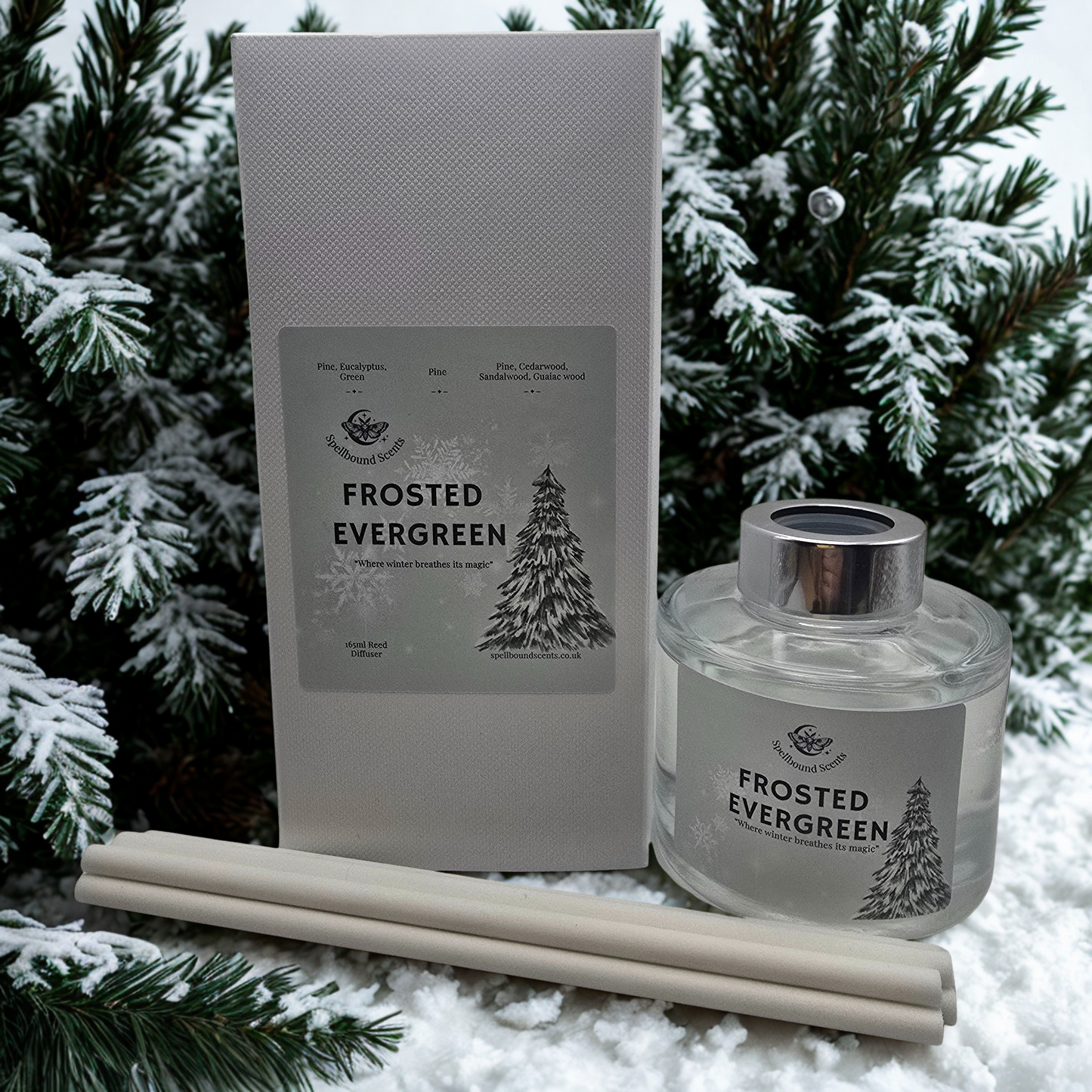 Frosted Evergreen Reed Diffuser – Winter, Forest & Spellbound Stillness