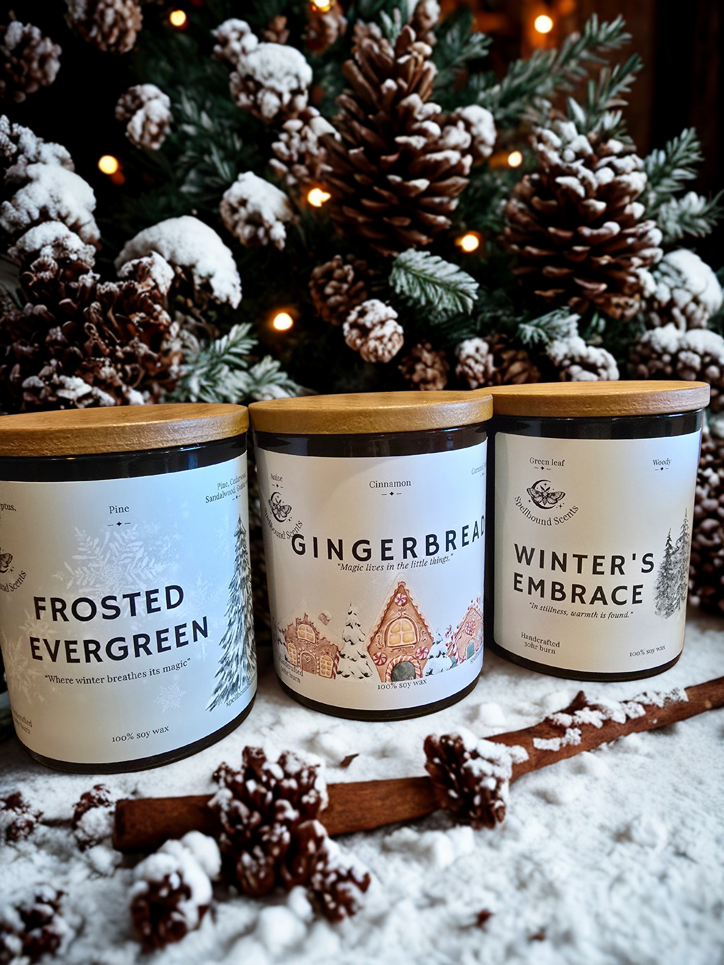 Frosted Evergreen Candle – Eco-Luxury Soy Wax Candle with Pine, Eucalyptus & Cedarwood - Christmas Tree Scent