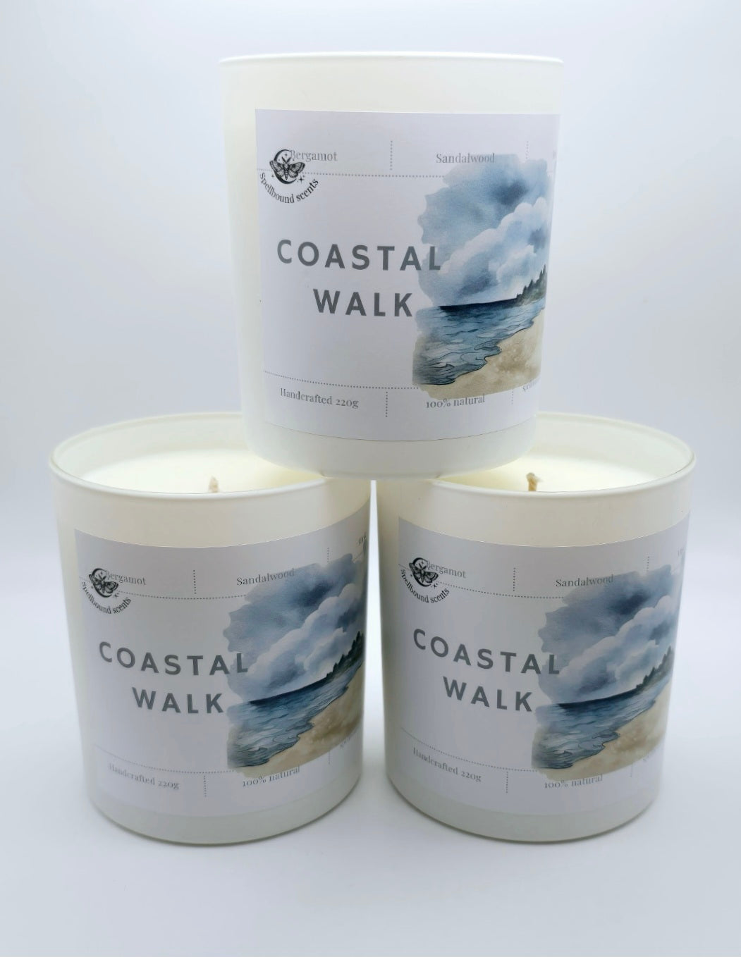 Coastal Walk– A Breath of Fresh Sea Air