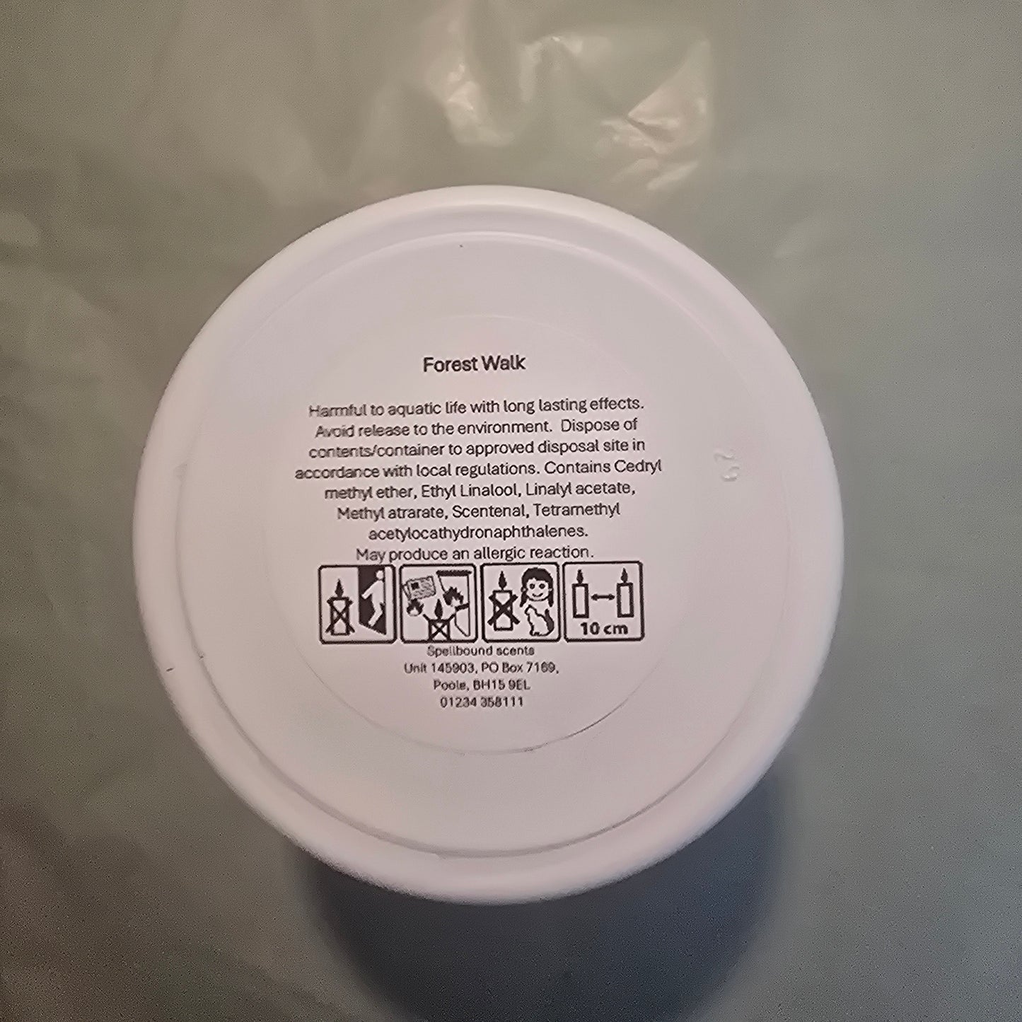 Forest Walk Fragrance Oil Candle – Moss, Vetiver & Ancient Woods