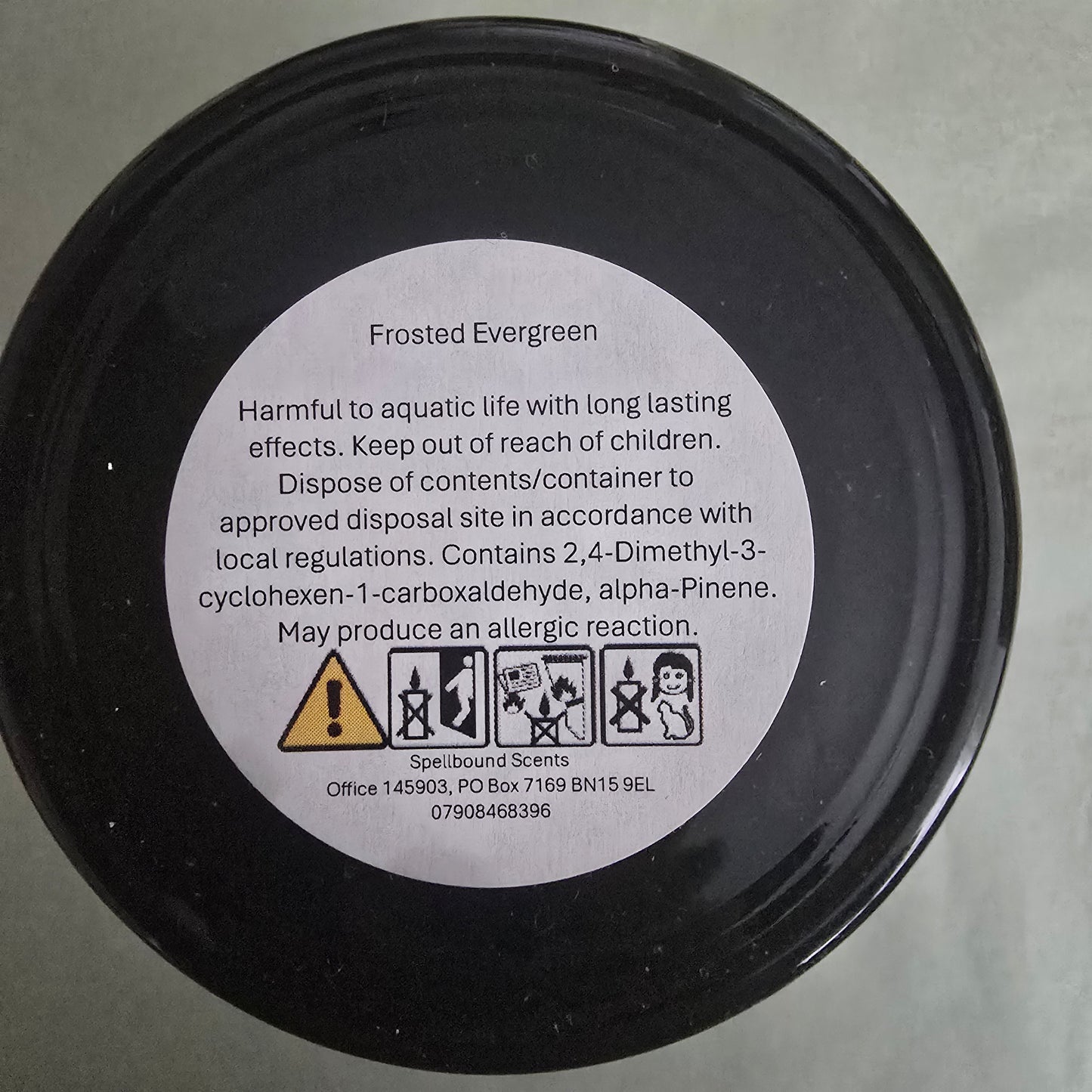 Frosted Evergreen Candle – Eco-Luxury Soy Wax Candle with Pine, Eucalyptus & Cedarwood - Christmas Tree Scent