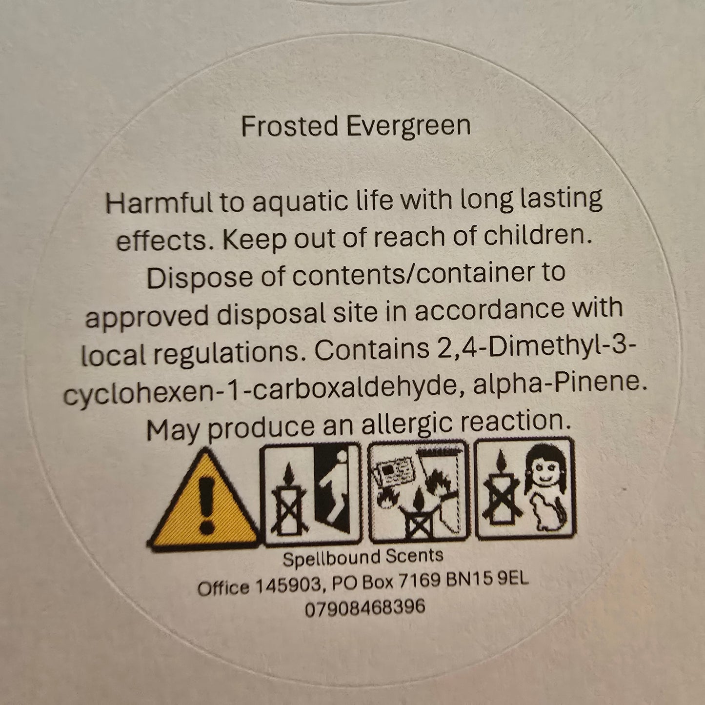 Frosted Evergreen Wax Melts – Fresh Pine & Winter Magic