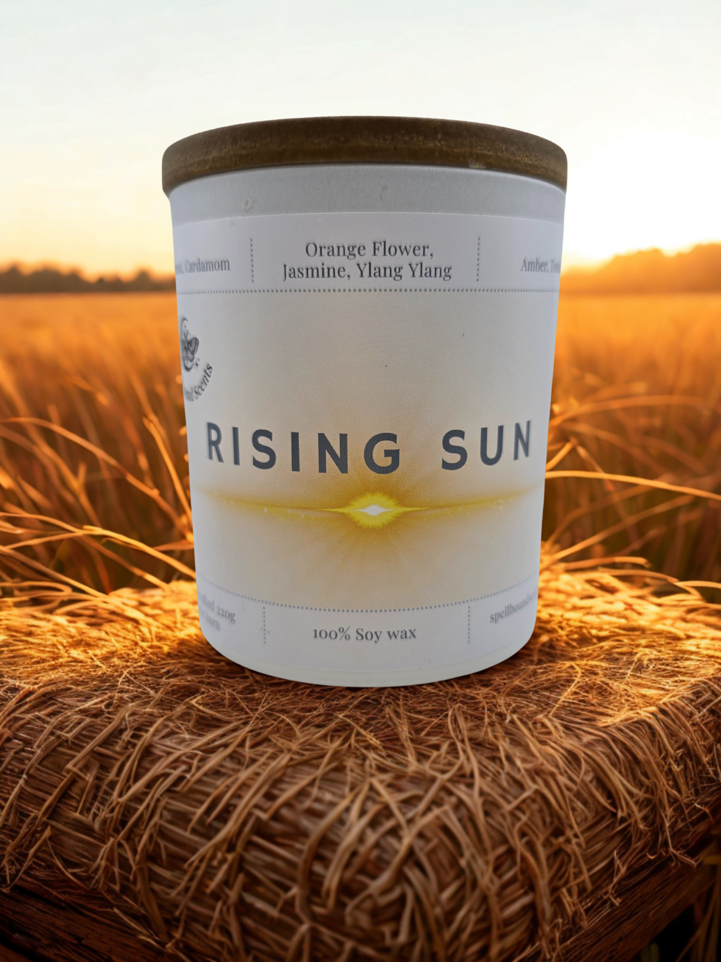 Rising Sun Candle- Golden citrus, Soft florals, Radiant warmth.
