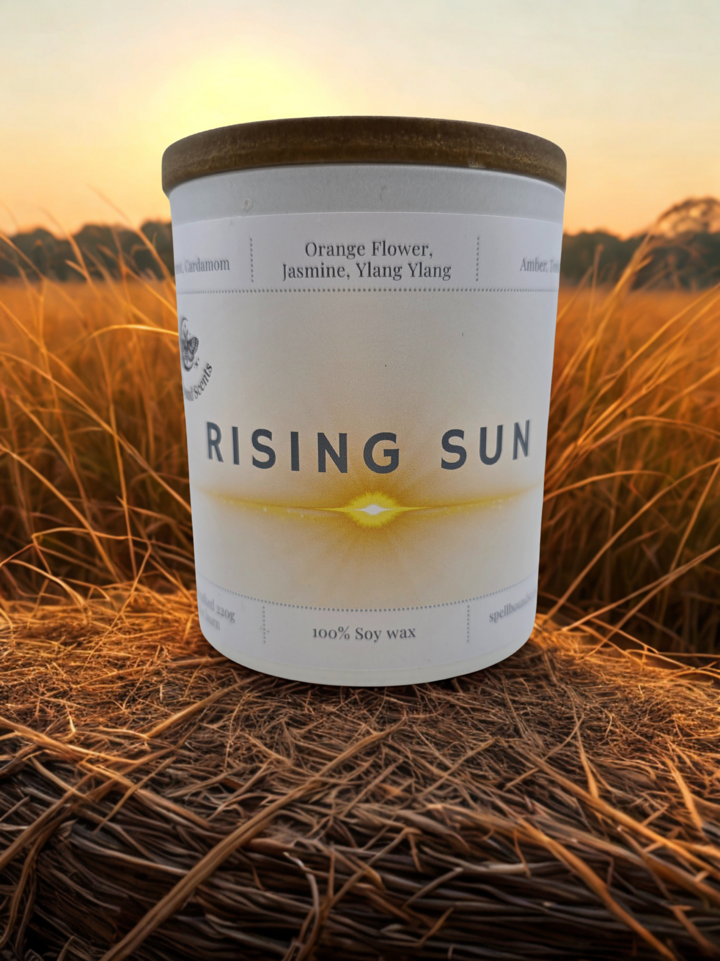 Rising Sun Candle- Golden citrus, Soft florals, Radiant warmth.
