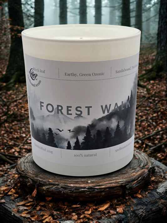 Forest Walk – A Journey Through the Woodland