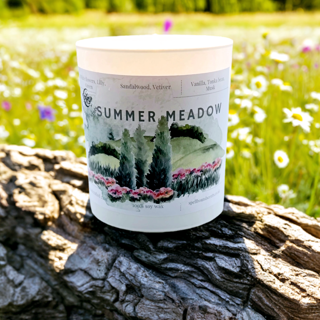 Summer Meadow- A Blooming Escape into Nature
