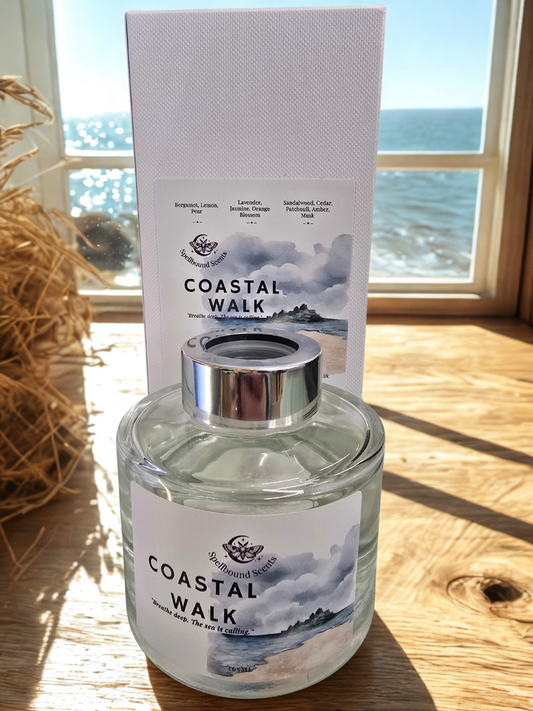 Coastal Walk Reed Diffuser – Sea Breeze, Driftwood & Mineral Air (165ml)