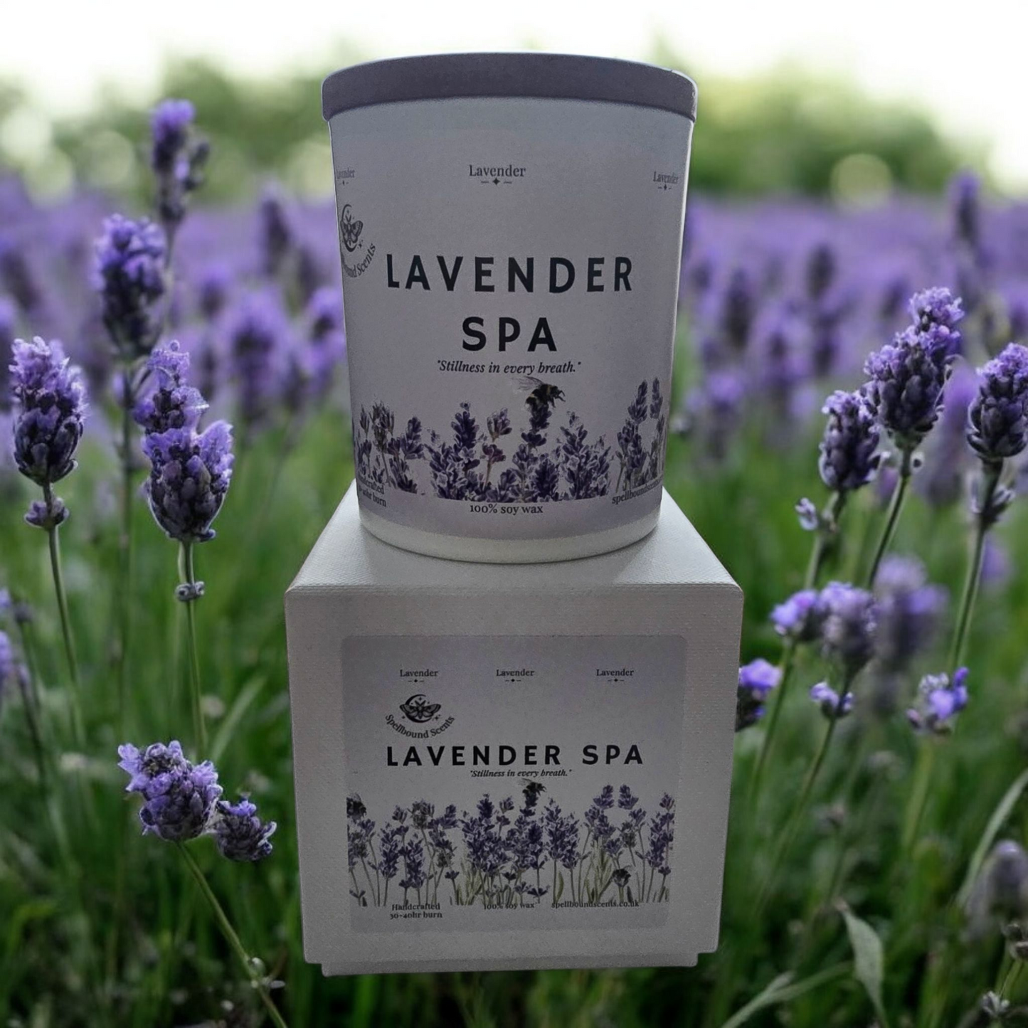 Lavender Spa Fragrance Oil Candle – Fresh Lavender, Soft Florals & Gentle Musk
