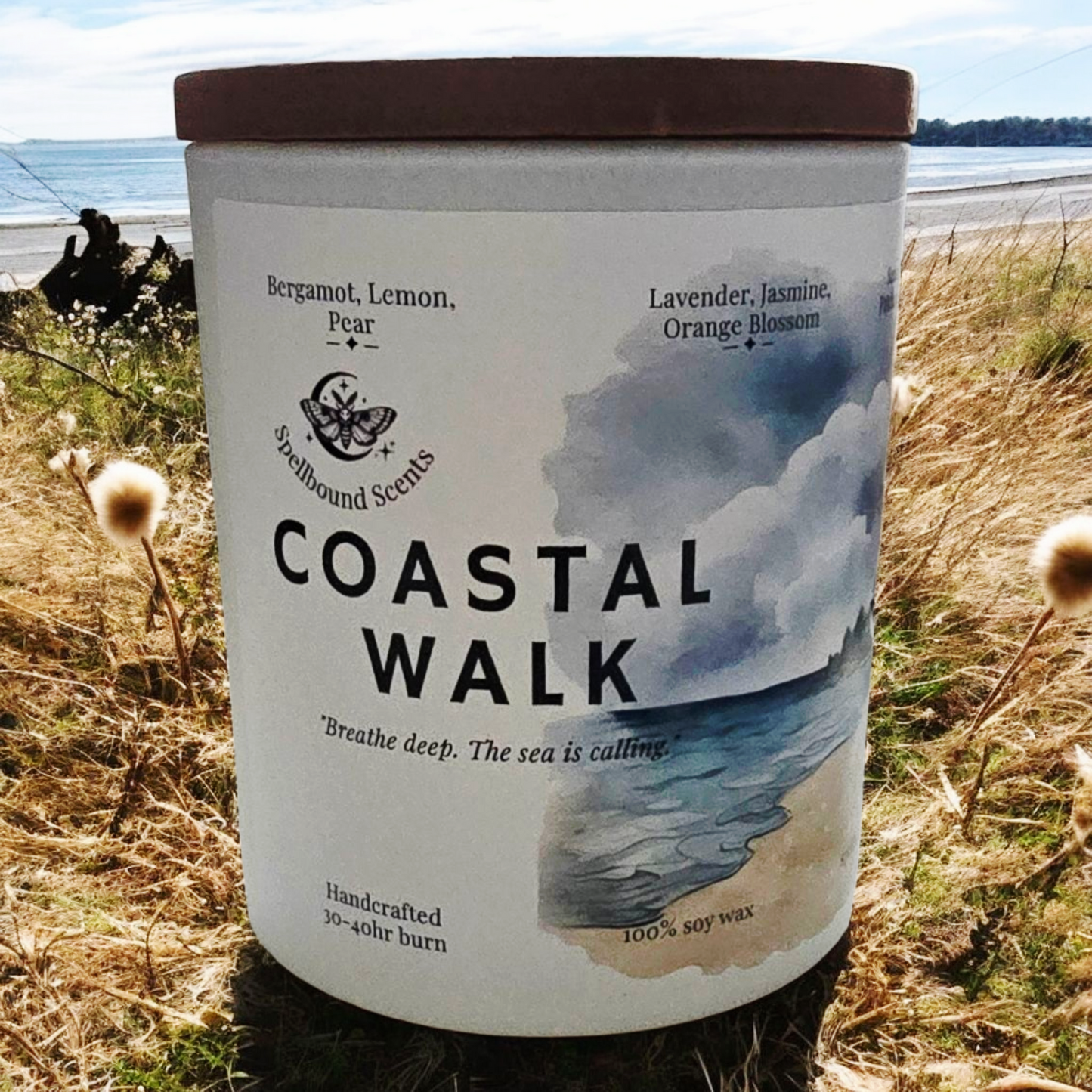 Coastal Walk Fragrance Oil Candle – Sea Salt, Citrus & Soft Woods