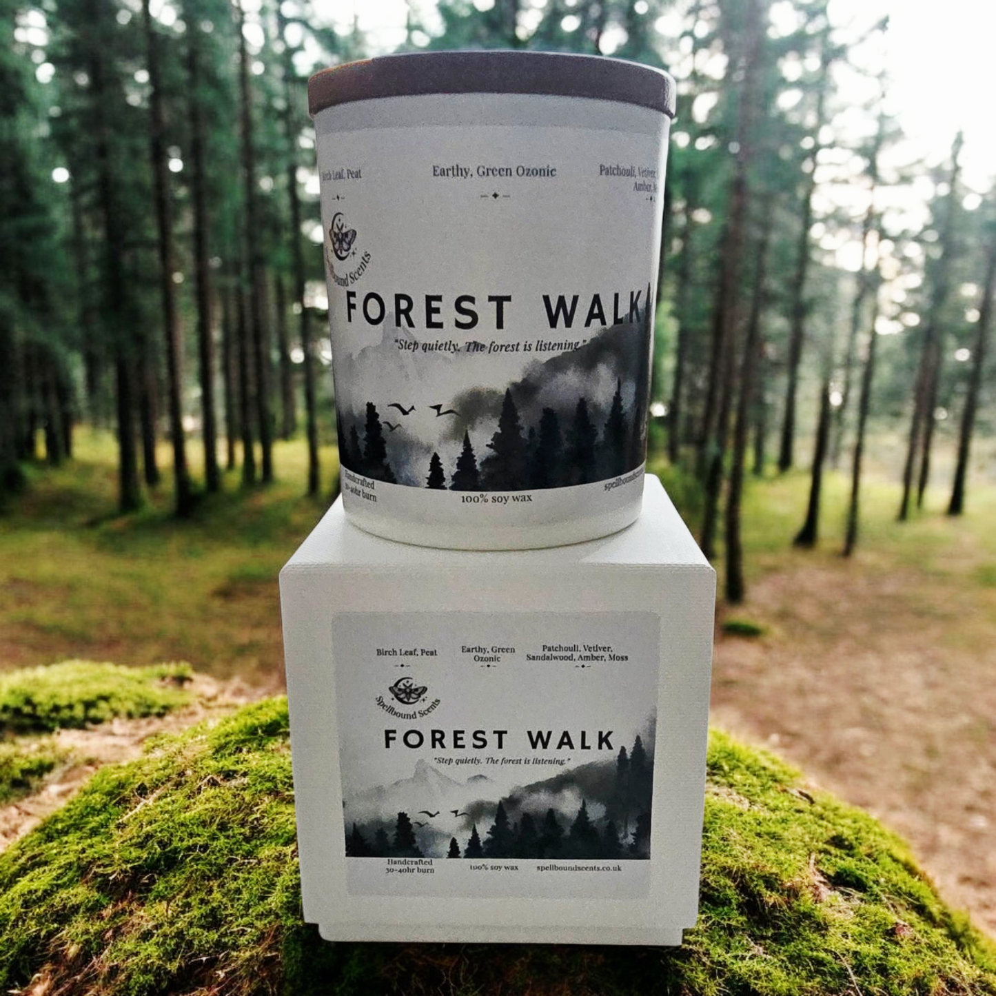 Forest Walk Fragrance Oil Candle – Moss, Vetiver & Ancient Woods