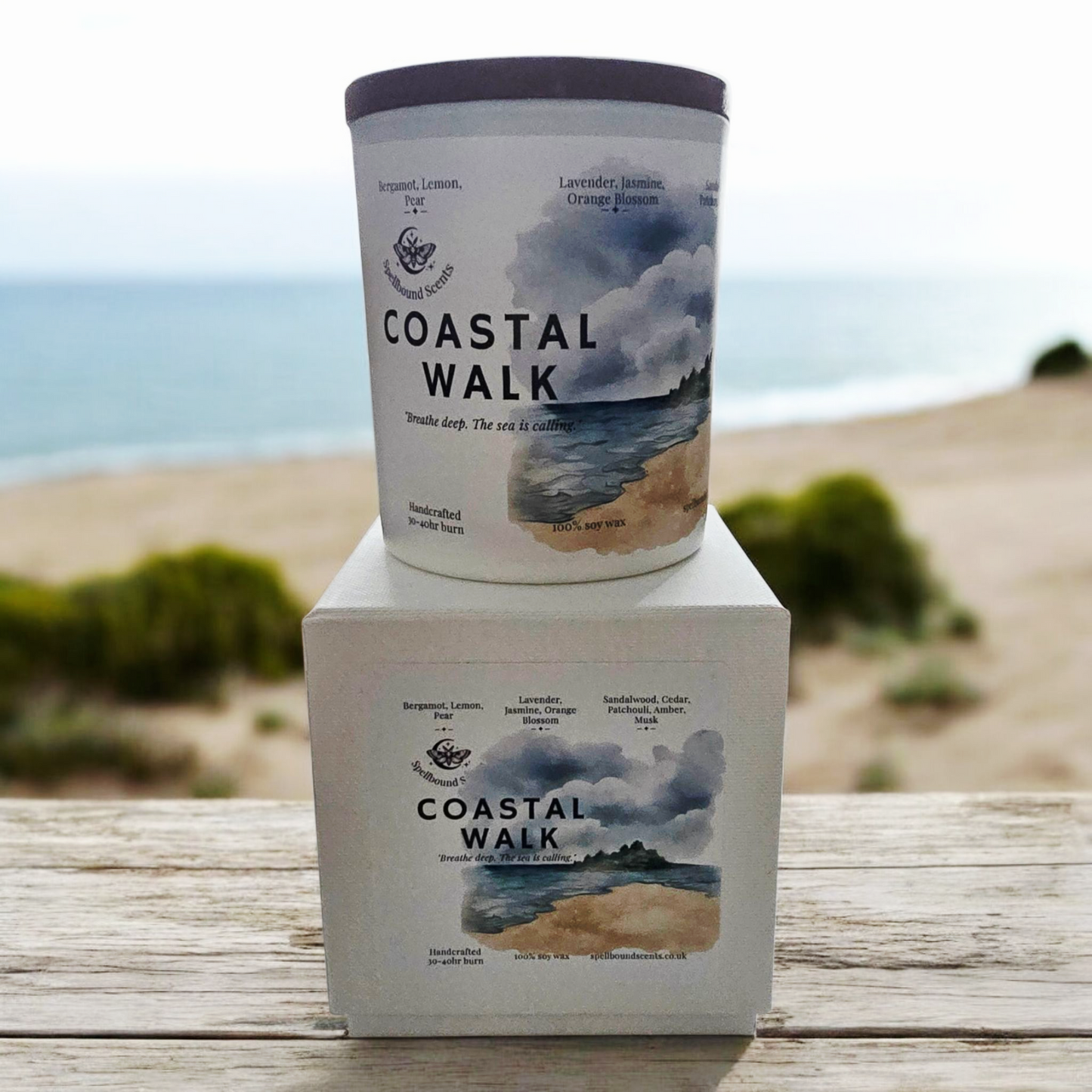 Coastal Walk Fragrance Oil Candle – Sea Salt, Citrus & Soft Woods