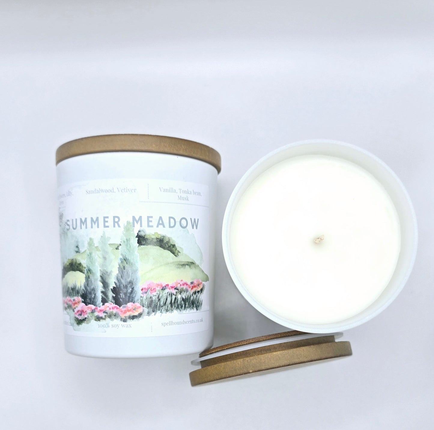 Summer Meadow- A Blooming Escape into Nature