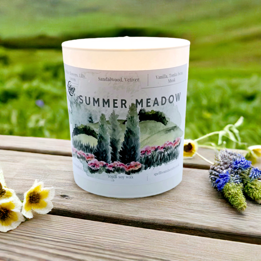 Summer Meadow- A Blooming Escape into Nature