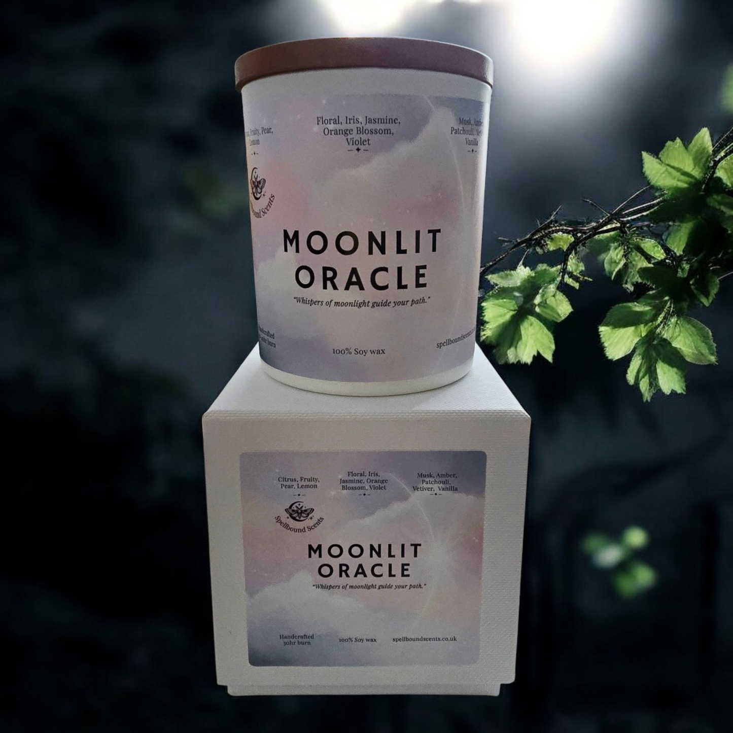 Moonlit Oracle Fragrance Oil Candle – Pear, Soft Florals & Mystic Amber