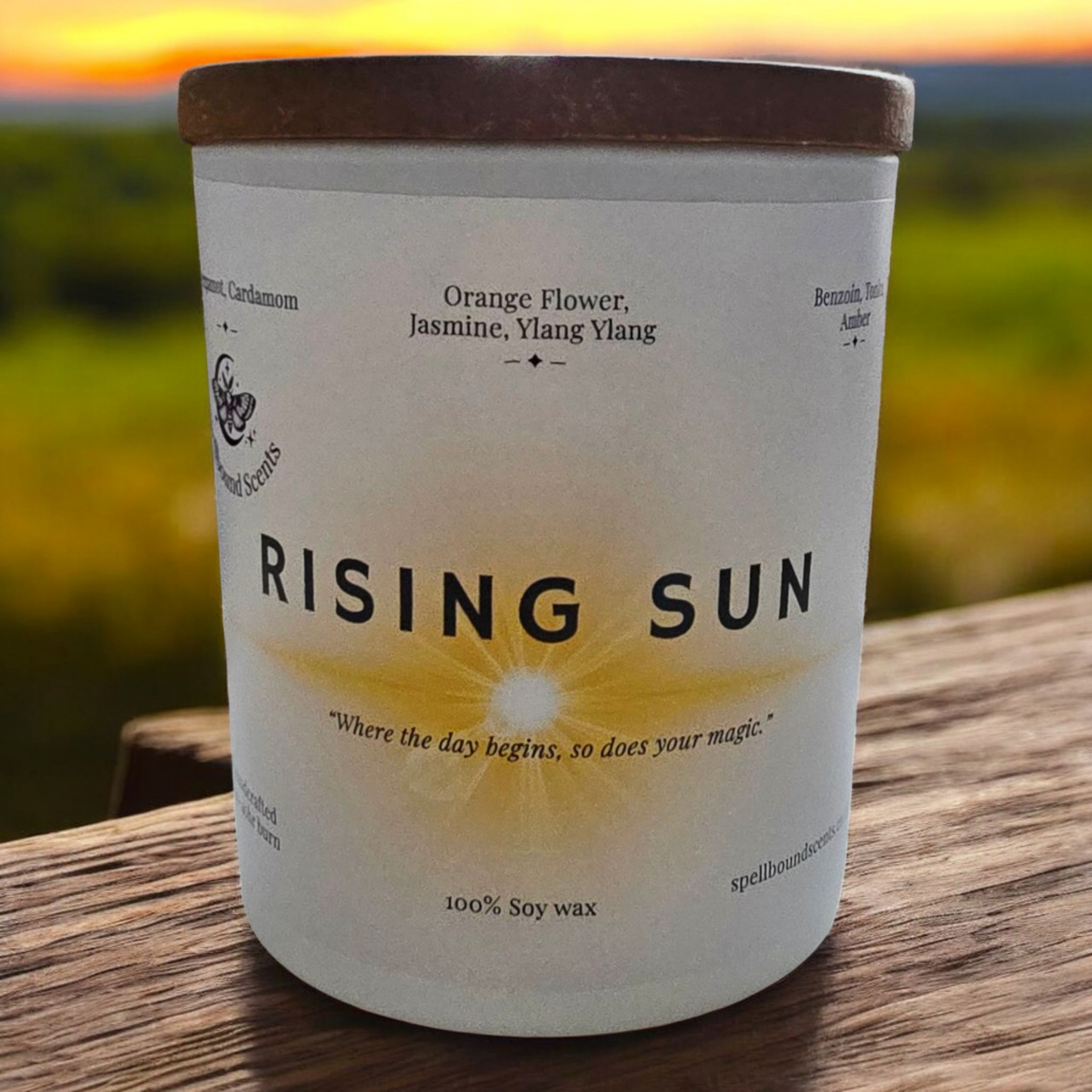 Rising Sun Fragrance Oil Candle – Bergamot, Orange Blossom & Warm Amber