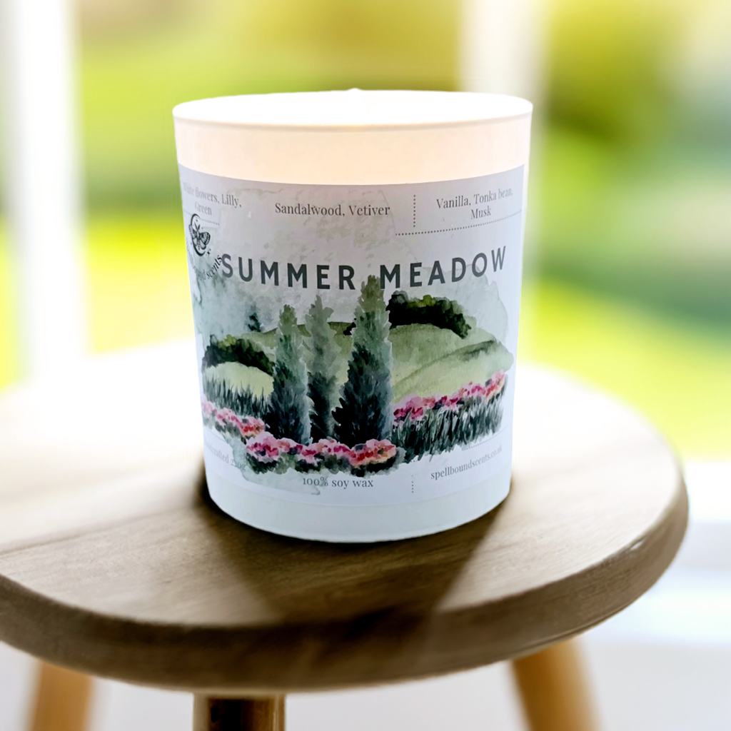 Summer Meadow- A Blooming Escape into Nature