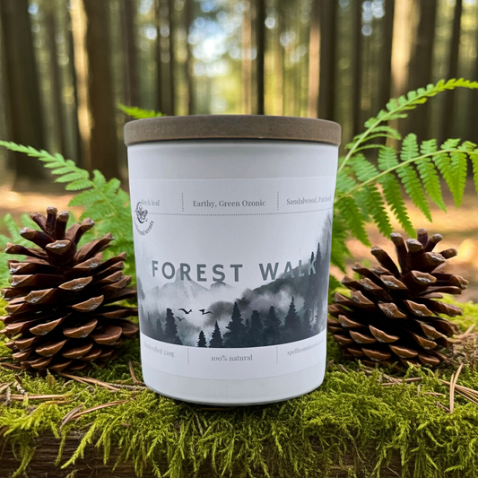 Forest Walk – A Journey Through the Woodland